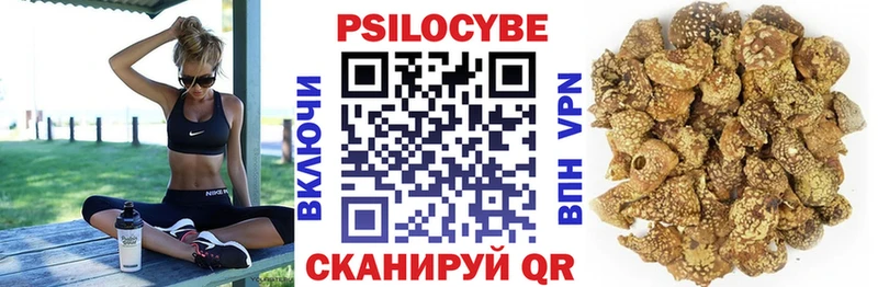 Галлюциногенные грибы Psilocybe  Щёкино 