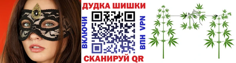 Шишки марихуана планчик  Щёкино 